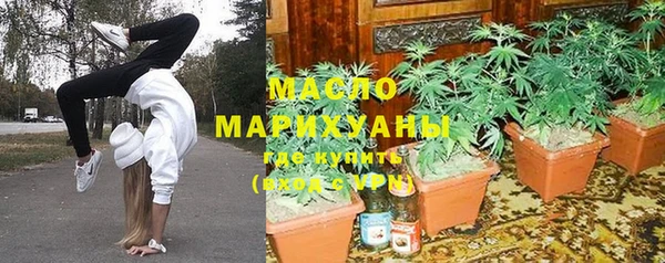 хмурый Арсеньев