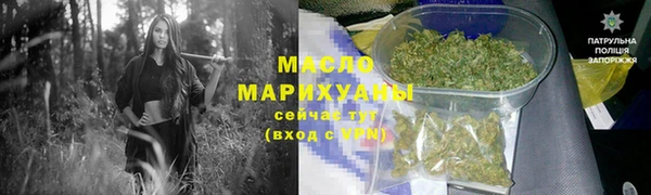 хмурый Арсеньев