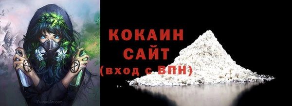 хмурый Арсеньев