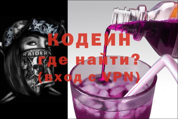 хмурый Арсеньев