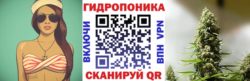 blacksprut   Заполярный  Бошки Шишки Ganja 